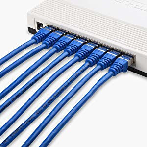  An array of Ethernet cables in blue jacket plugged into a switch  